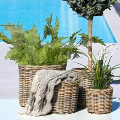 Cache-pot en rotin pour plantes vertes (lot de 4)
