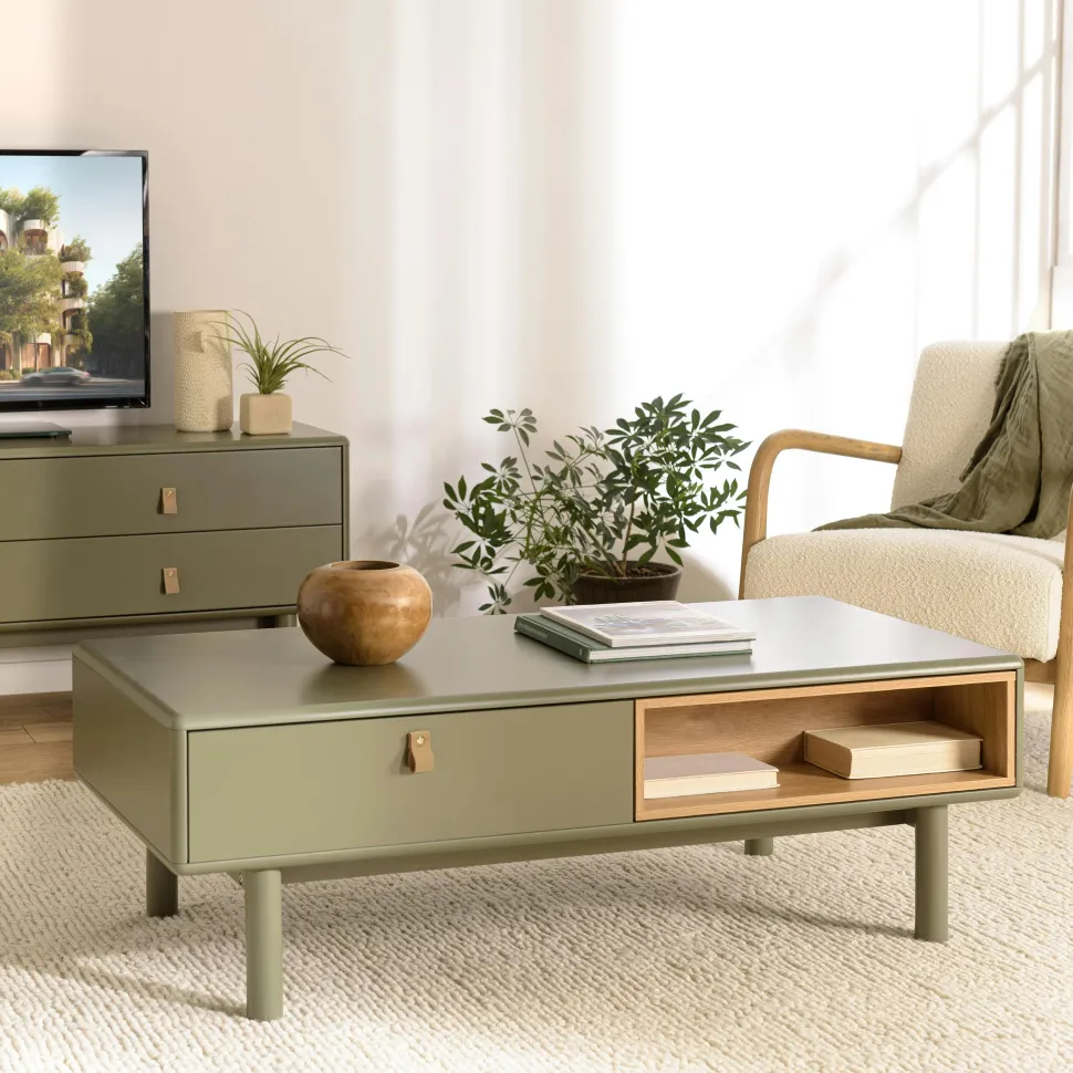 Meuble TV 2 tiroirs 1 porte bois vert nature GUILIN