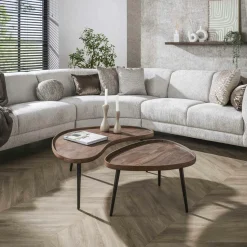 Table basse bois brun forme organique à rebords (x2) NAKO